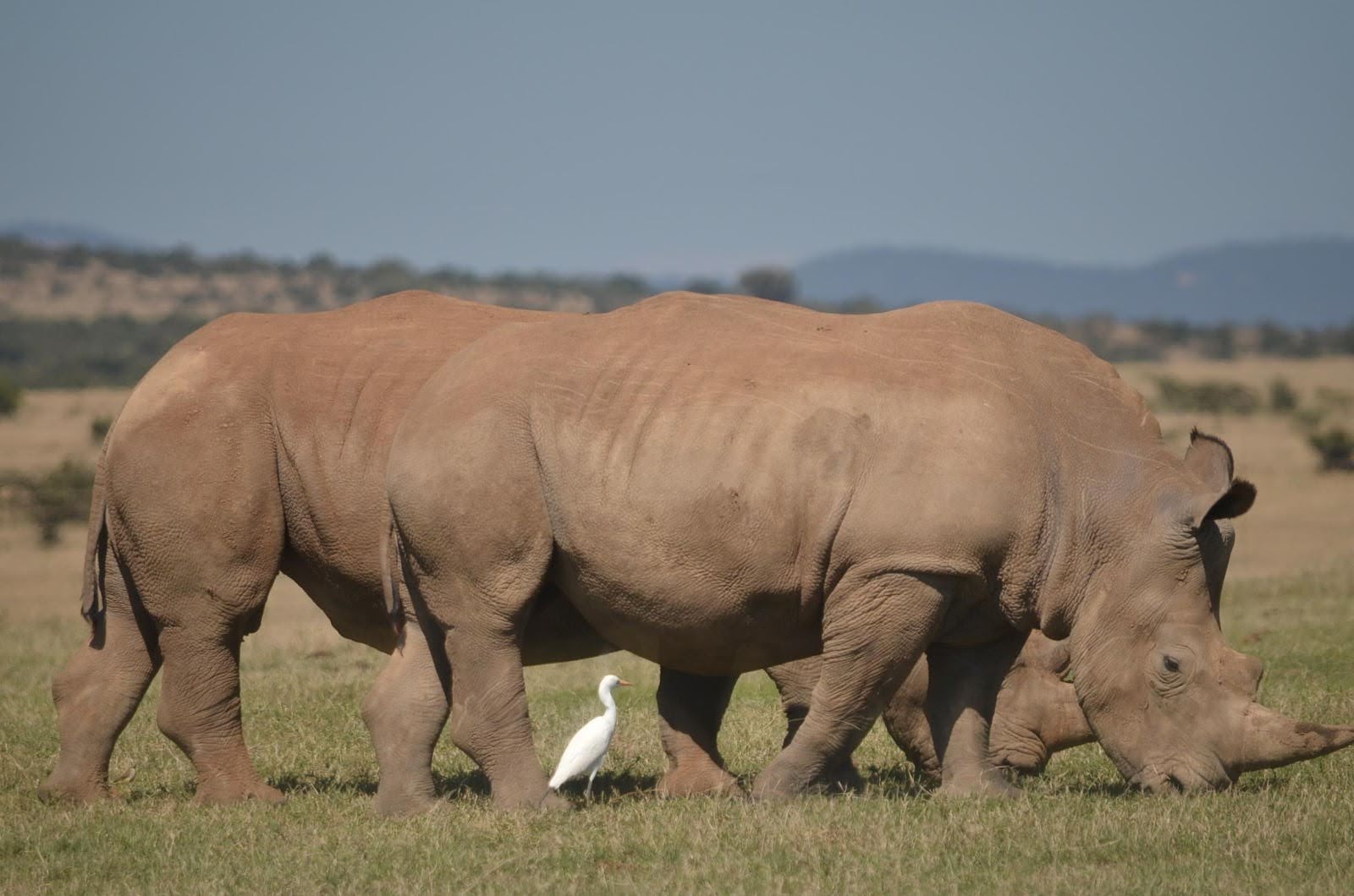 Kenya