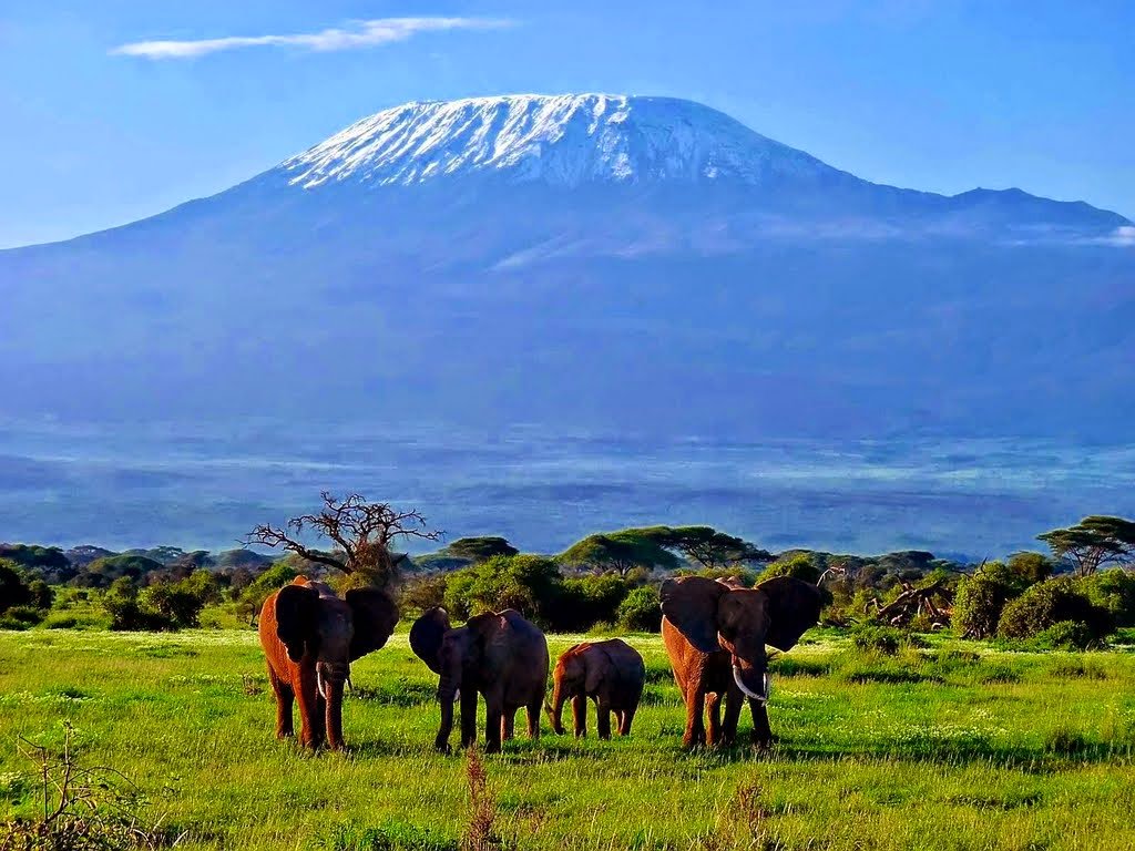 Tanzania